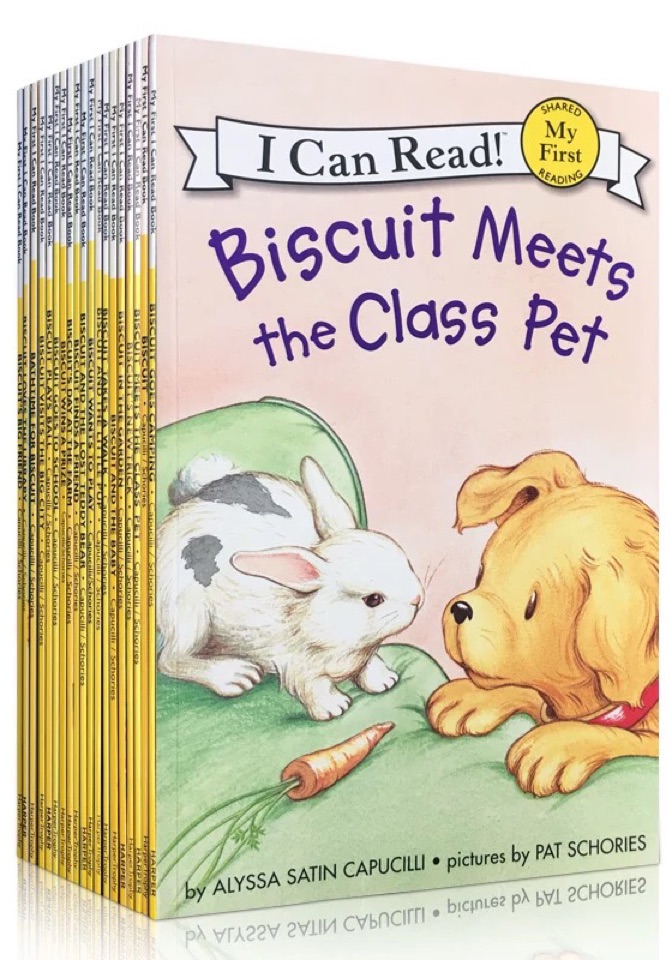 biscuit