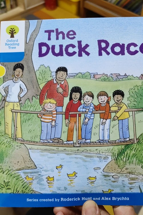 The duck race