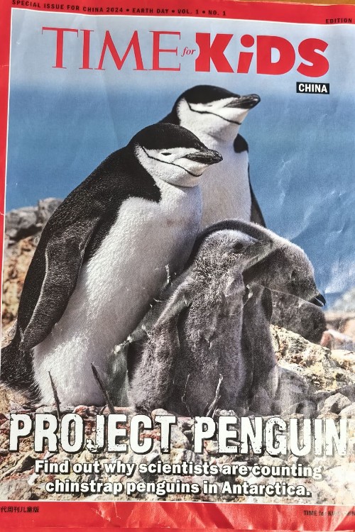 Time For Kids: Project Penguin