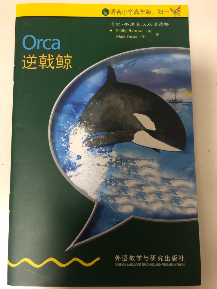 逆戟鯨