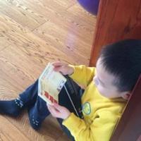 糖寶兒2017
