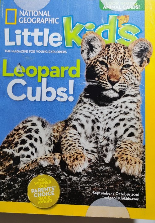 little kid's Leopard Cubs