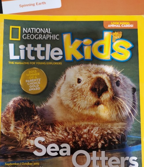 little kids sea otters