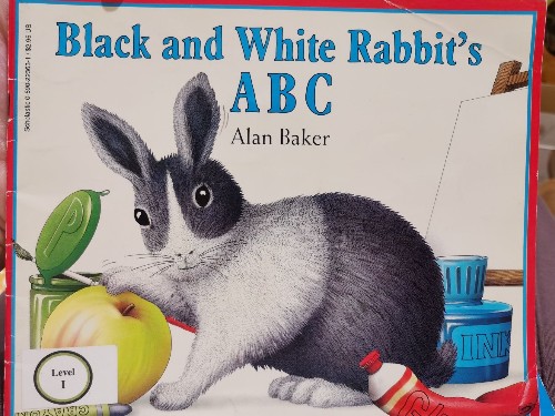 Black and white rabbit's ABC