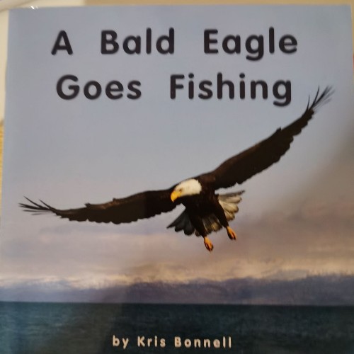 A Bald Eagle Goes Fishing