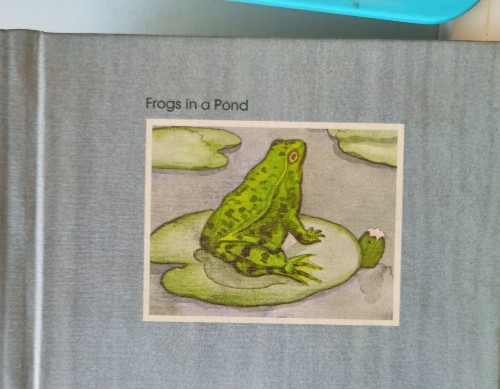 Frogs in a pond