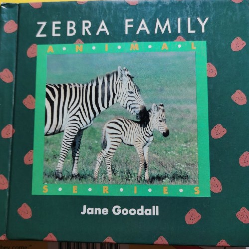 zebra family