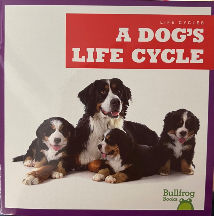 Jump 百科: A dog's life cycle