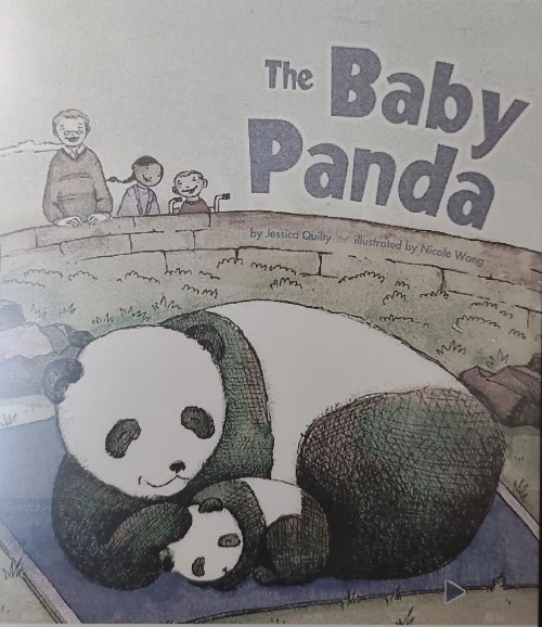 The baby panda