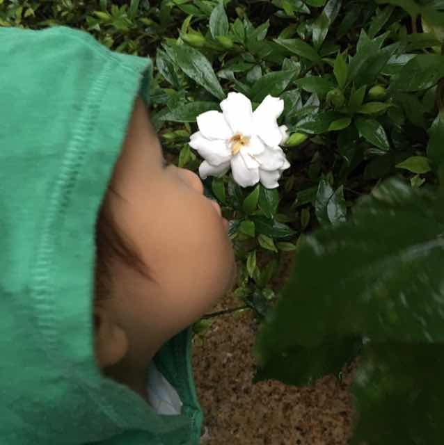你的耳朵