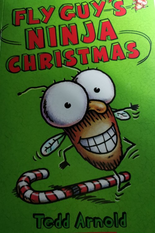 Fly Guy #16: Fly Guy's Ninja Christmas