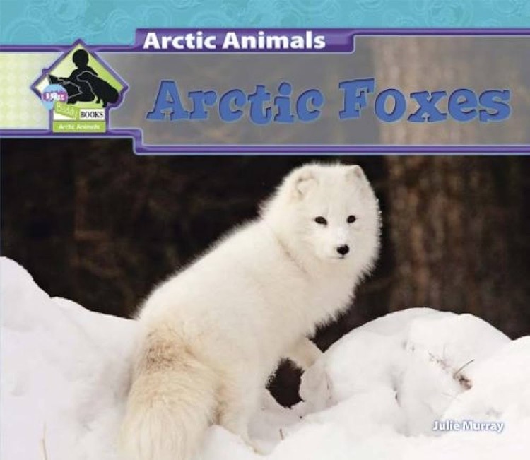 Arctic Foxes