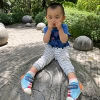 大米Damien