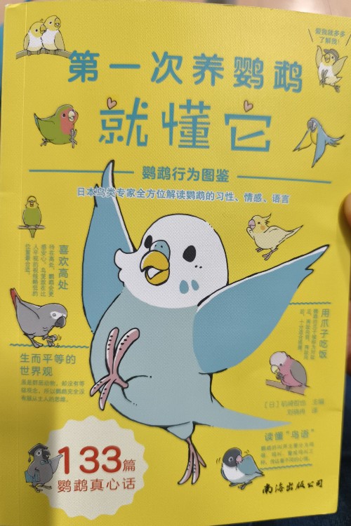 第一次養(yǎng)鸚鵡就懂它
