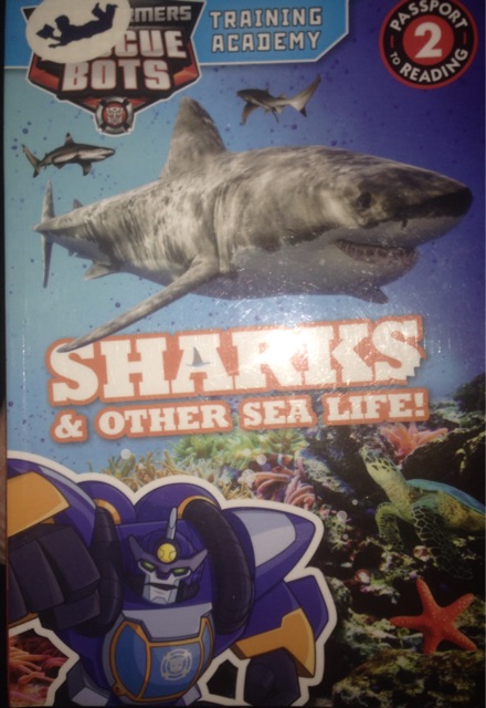 Sharks & other sea life