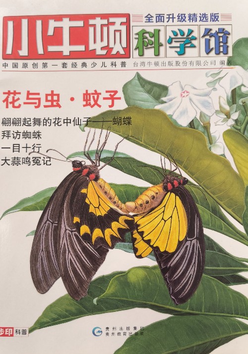 小牛頓科學(xué)館全面升級(jí)精選版:花與蟲(chóng)·蚊子