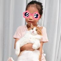 NingningGo