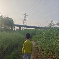葫芦153