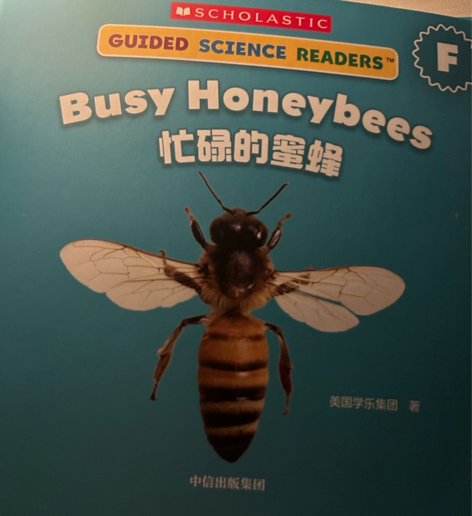 學(xué)樂小讀者英語分級閱讀: 科普系列E和F級 busy honeybees