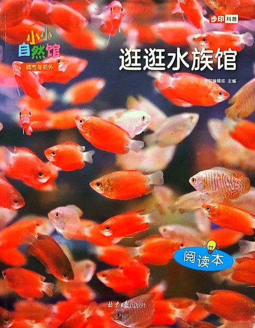 小小自然館(城市與郊外)- 逛逛水族館