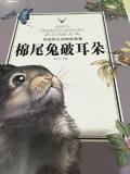 西顿野生动物故事集—棉尾兔破耳朵