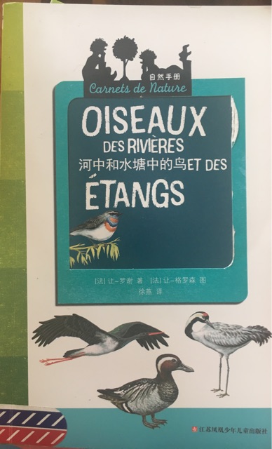河中和水塘中的鳥ET DES