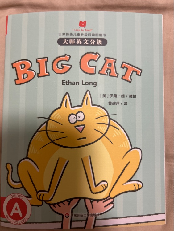 big cat