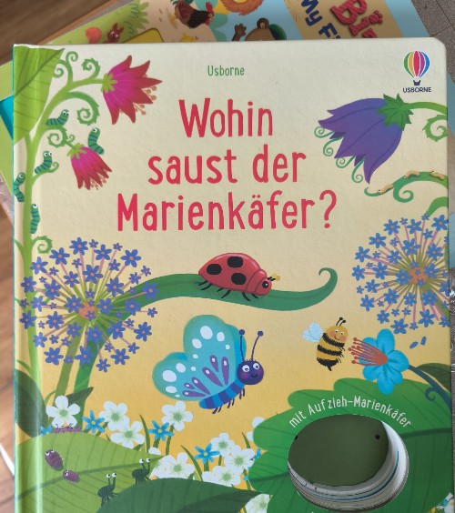 Wohin saust der Marienkäfer?