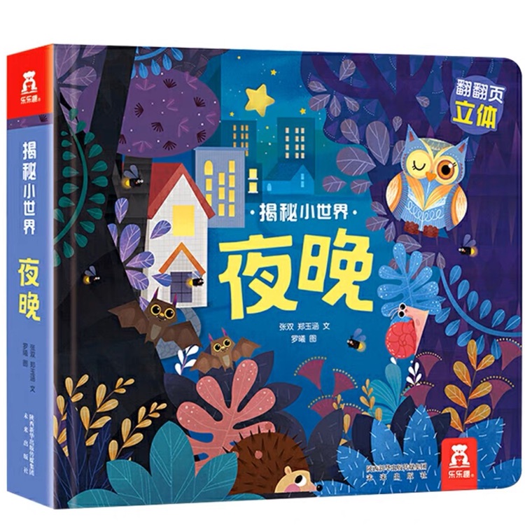 揭秘小世界: 夜晚