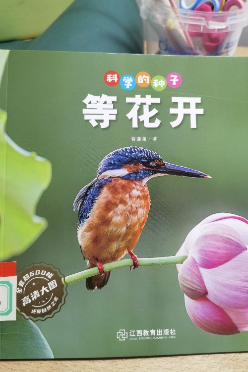 科學(xué)的種子-等花開