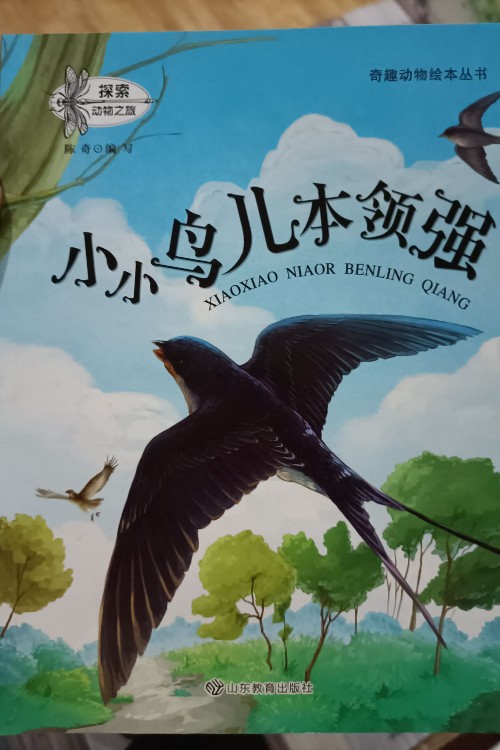 奇趣動(dòng)物繪本叢書, 小小鳥兒本領(lǐng)強(qiáng)