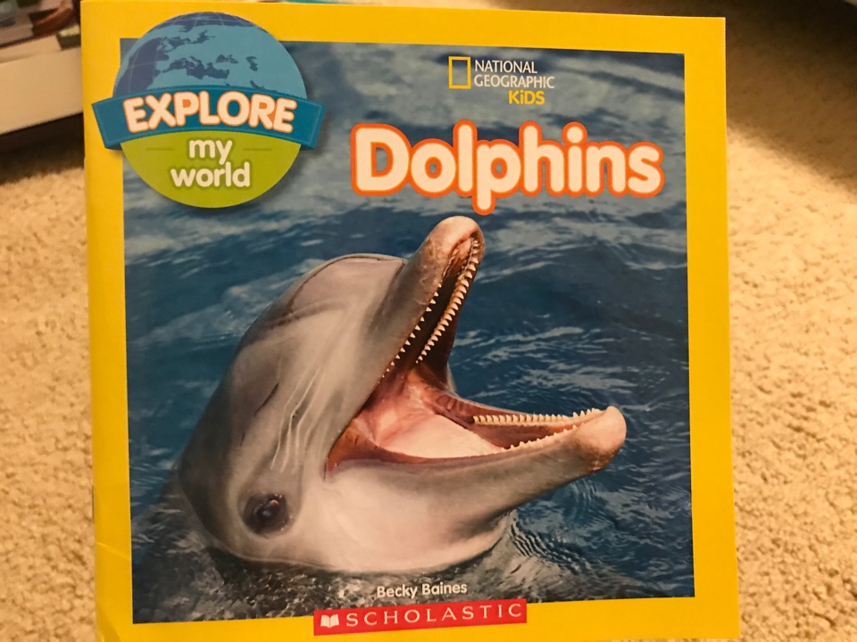 Dolphins