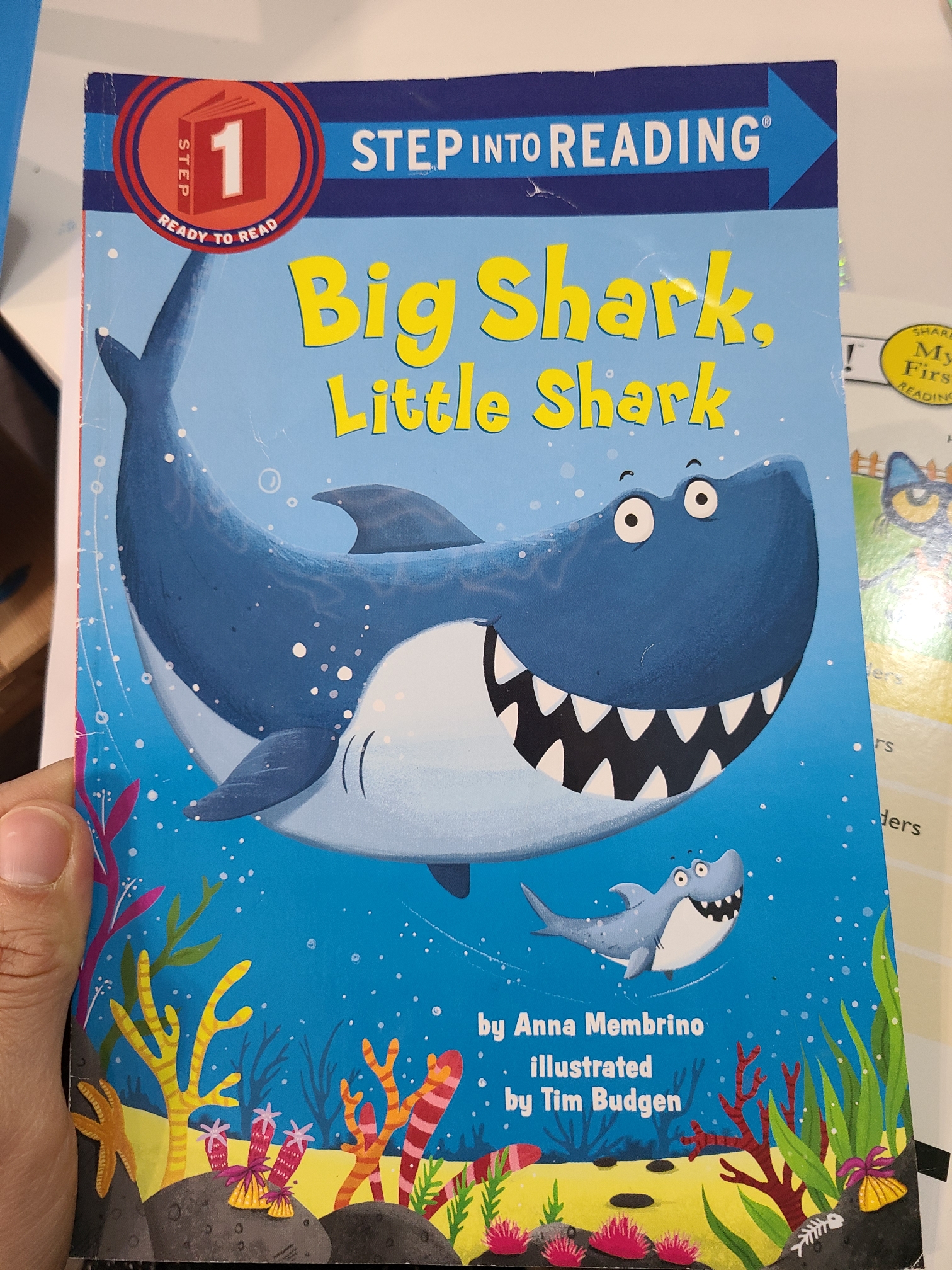 Big shark Little Shark