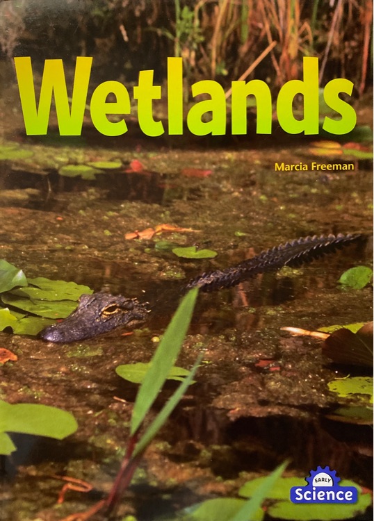 Wetlands