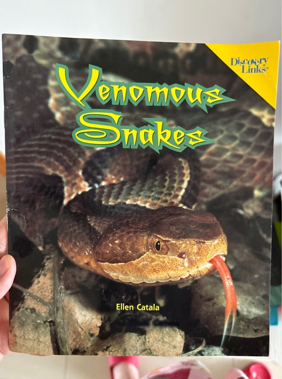 venomous snakes