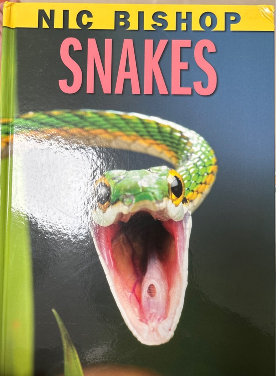 snakes