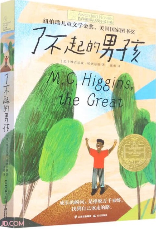 長青藤國際大獎小說: 了不起的男孩