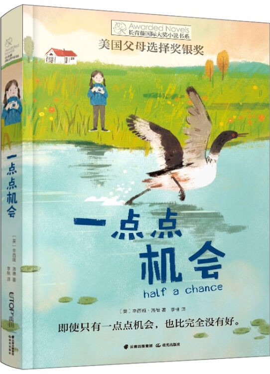 常青藤國際大獎小說: 一點(diǎn)點(diǎn)機(jī)會