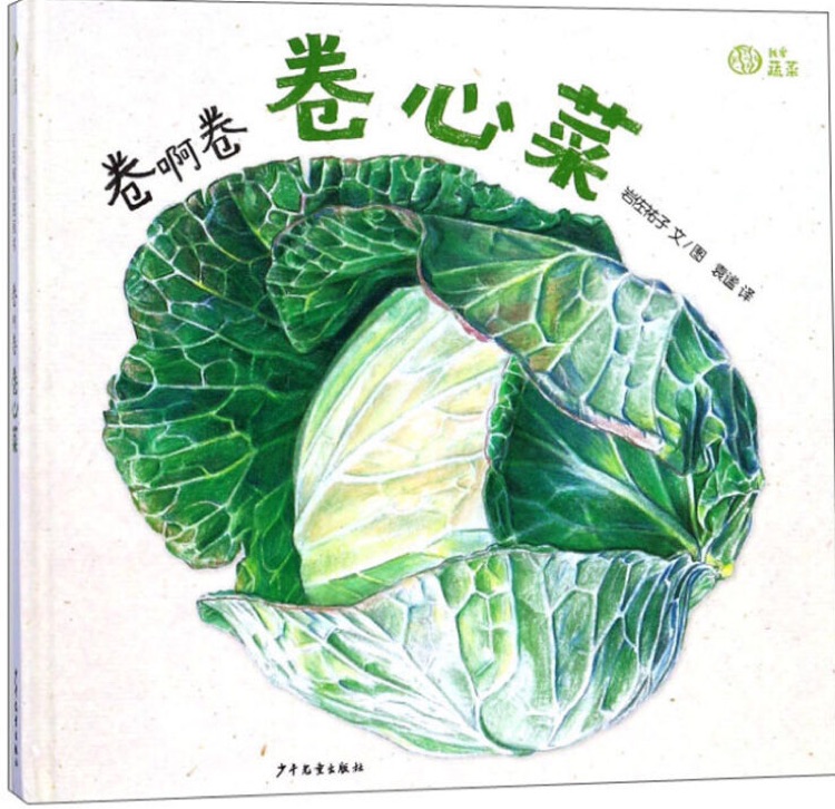 我愛(ài)蔬菜系列: 卷啊卷 卷心菜