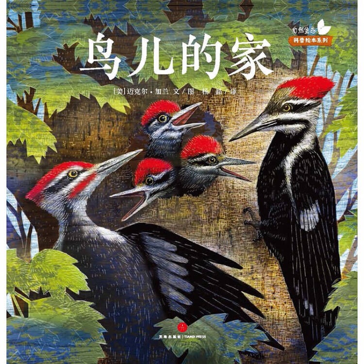 自然生態(tài)科普繪本系列: 鳥(niǎo)兒的家