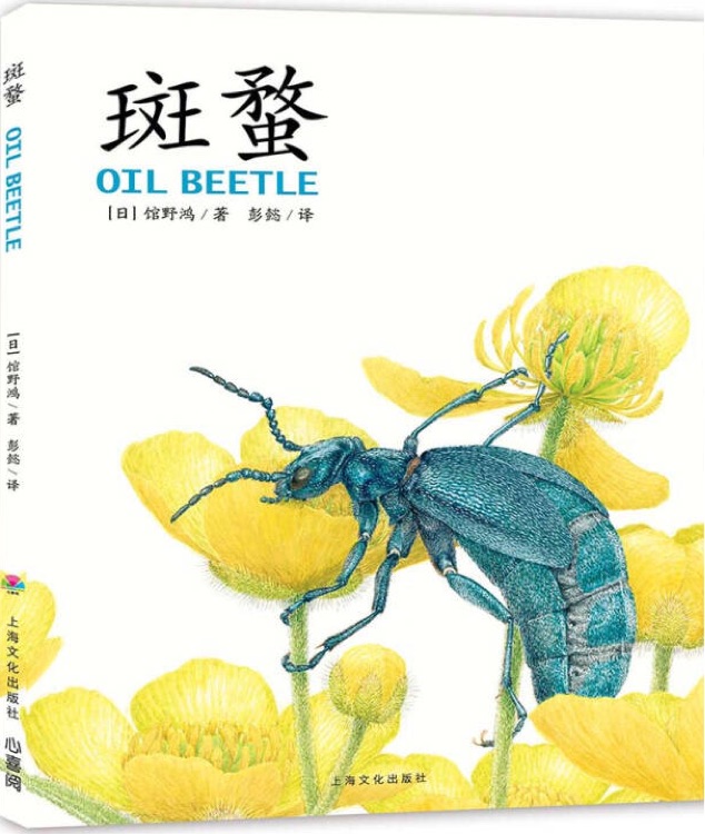 館野鴻科學(xué)繪本: 斑蝥(精)