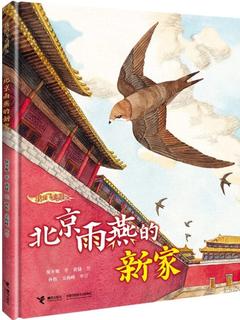 我的飞鸟朋友系列: 北京雨燕的新家