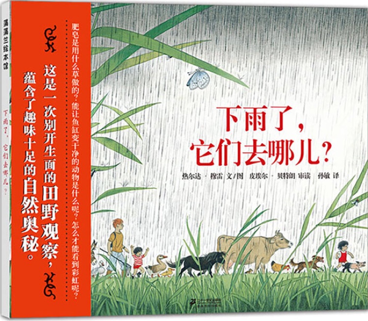 下雨了, 它們去哪兒?