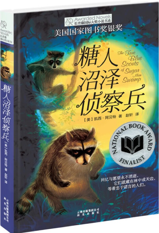 長(zhǎng)青藤?lài)?guó)際大獎(jiǎng)小說(shuō)書(shū)系: 糖人沼澤偵察兵