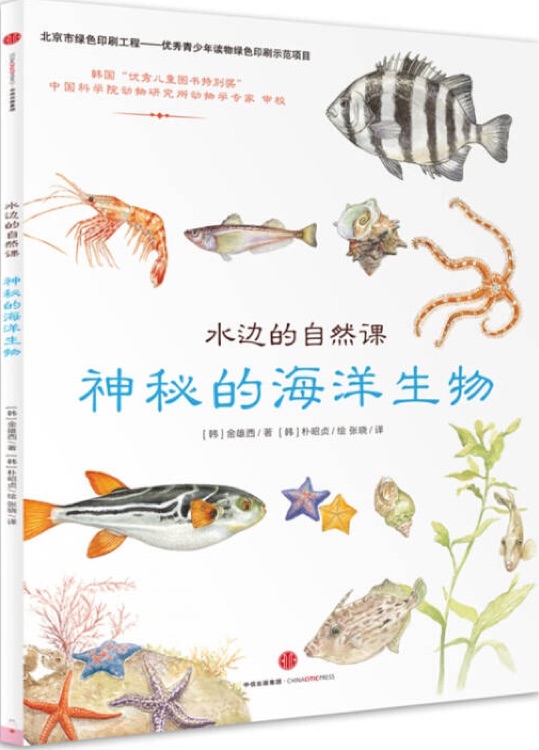 水邊的自然課: 神秘的海洋生物