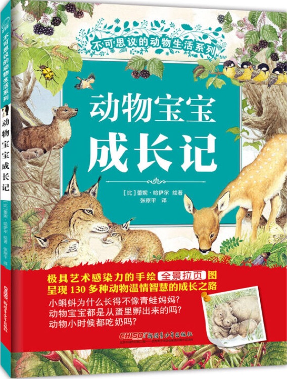 不可思議的動物生活系列: 動物寶寶成長記