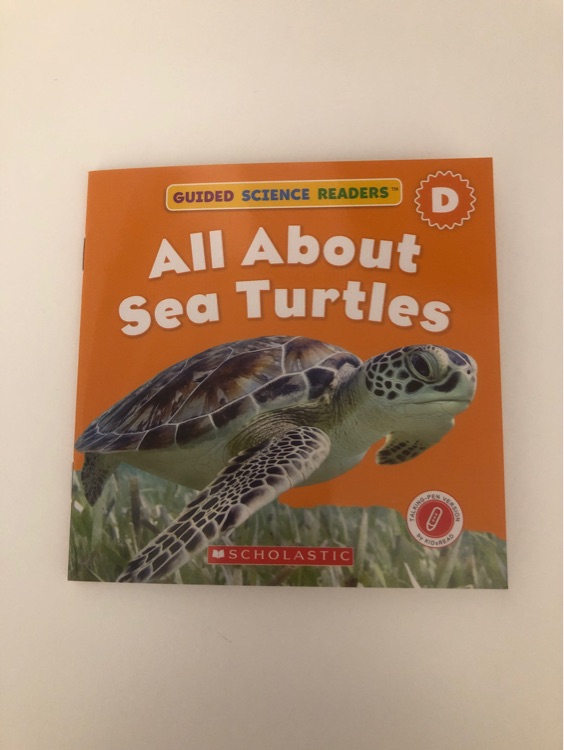 All About Sea Turtles