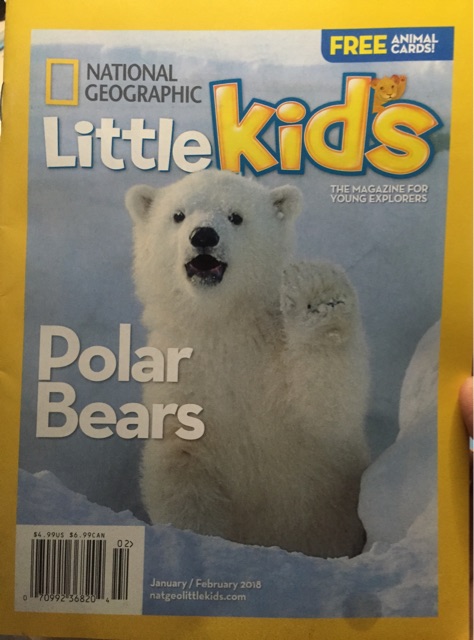 National Geographic Little kids-Polar Bear