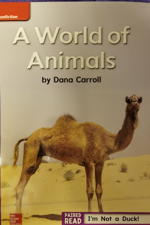 A world of animals