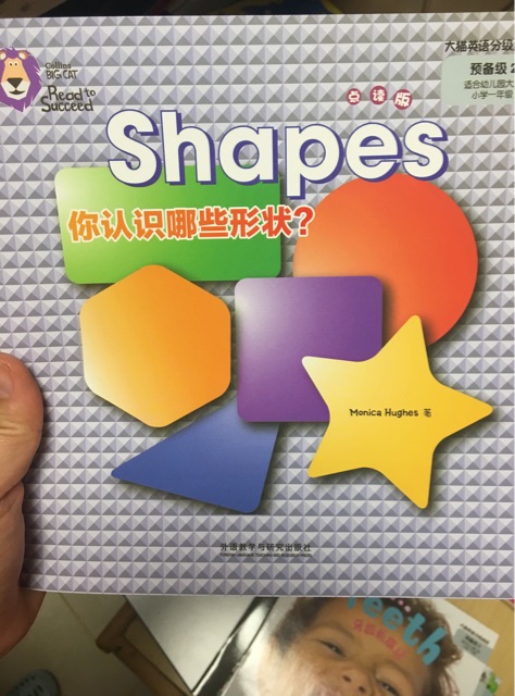 大貓 shapes